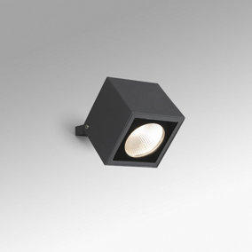 Luminosa Oko Outdoor Spotlight Dark Grey 20W IP65