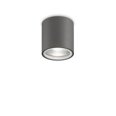 Luminosa Outdoor 1 Light Surface Mounted Ceiling Lamp Anthracite IP44, GU10