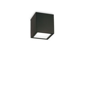 Luminosa Techo Outdoor Surface Mounted Downlight Black IP54, GU10