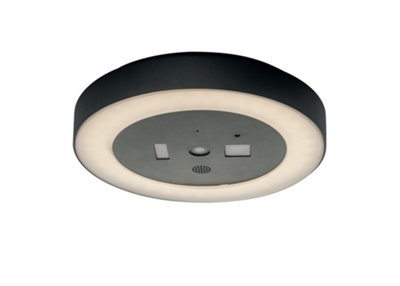 Luminosa ZOOM LED Flush Ceiling Light Anthracite, IP54 1800lm 4000K 30x5.5cm