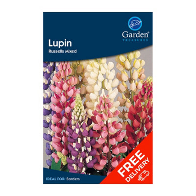 Lupin Russells Mixed (Lupinus polyphyllus)