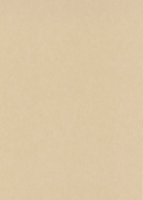 Luxe plain Nonwoven wallpaper in gold - 10,05 x 0,53 m