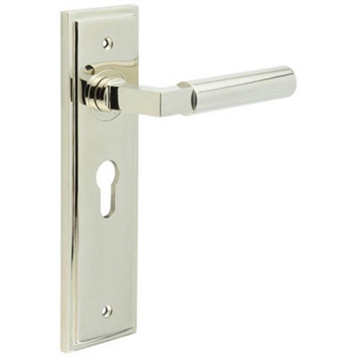 Luxurious Euro Backplate Door Handle in Polished Nickel - Solid Brass Interior Lever