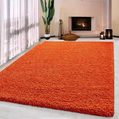 Luxurious Shaggy Rugs Soft Extra Thick Area Rugs Heavy 5cm Dense Pile for Living Room Bedroom Hallway (Orange, 120 x 170cm)