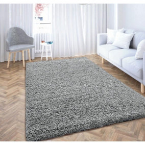 Luxurious Shaggy Rugs Soft Extra Thick Area Rugs Heavy 5cm Dense Pile for Living Room Bedroom Hallway (Silver, 60 x 110cm)