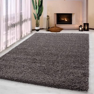 Luxurious Shaggy Rugs Soft Extra Thick Area Rugs Heavy 5cm Dense Pile for Living Room Bedroom Hallway (Taupe, 120 x 170cm)