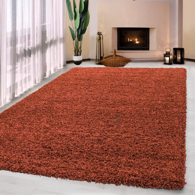 Luxurious Shaggy Rugs Soft Extra Thick Area Rugs Heavy 5cm Dense Pile for Living Room Bedroom Hallway (Terracota, 120 x 170cm)