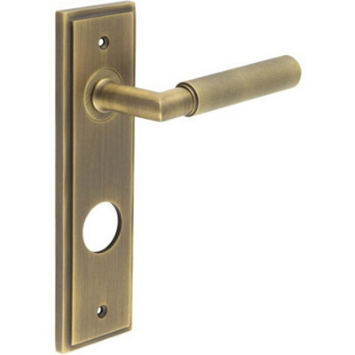 Luxury Antique Brass Door Handle with Backplate for Bathrooms - Solid Brass Interior Handle