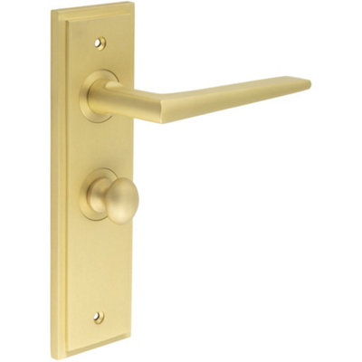 Luxury Satin Brass Door Handle with Backplate for Bathroom - Solid Brass Interior Handle