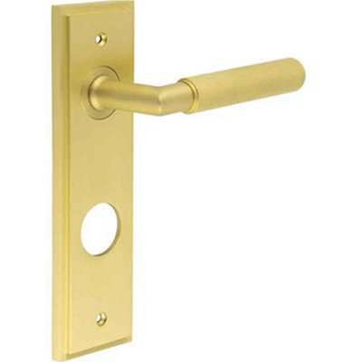 Luxury Satin Brass Door Handle with Backplate for Bathrooms - Solid Brass Interior Handle
