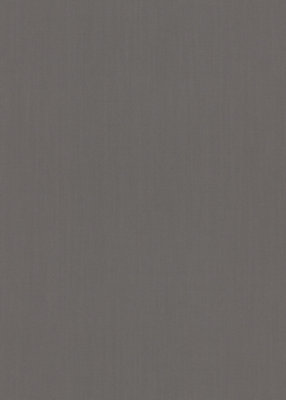 Luxury Structured Semi Plain Non-woven wallpaper