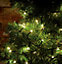 Lyyt LED Outdoor 10M Fairy Light Multi-Sequence Warm White