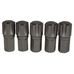 M13 Male Short (30mm) Ribe Bit 5 Pack With 10mm Hex End S2 Steel Bergen
