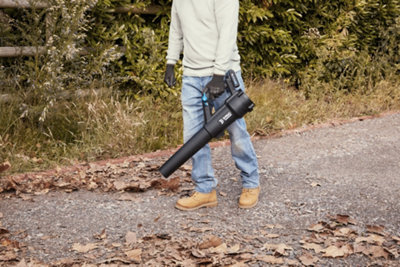 Bosch leaf blower b&q outlet