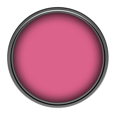 Macpherson Trade Walls & Ceilings Vinyl Matt Emulsion Paint Pantone 205 ...