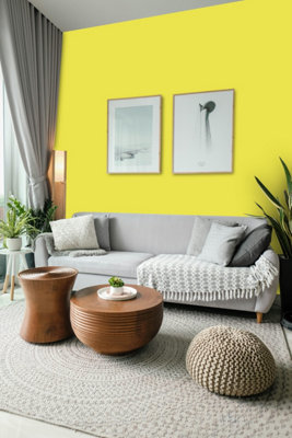 Macpherson Trade Walls & Ceilings Vinyl Matt Emulsion Paint Pantone 387 ...