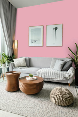 Macpherson Trade Walls & Ceilings Vinyl Matt Emulsion Paint Pantone 494 ...