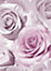 Madison Rose Glitter Gloss Wallpaper