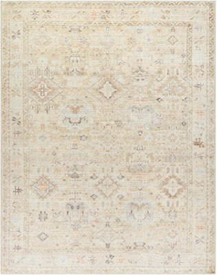 MAHI Becki Owens x Livabliss Vintage Traditional Oriental Boho Medium Brown Area Rug 157 x 213 cm
