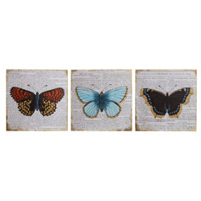 Maison by Premier Butterfly Wall Plaque - Set of 3