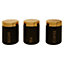 Maison by Premier Liberty Set of 3 Black / Gold Canisters