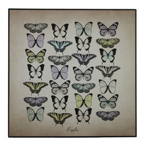 Maison by Premier Papilio Butterfly Wall Plaque