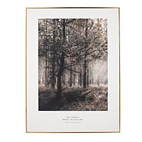 Make It A Home Forest Trail Gold & Black Framed Mono Print