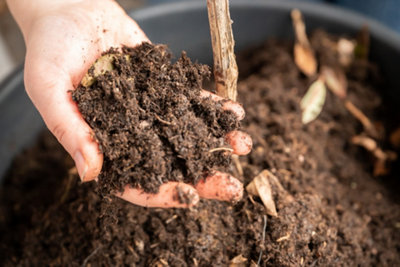 A person holding garden compost in their hand.