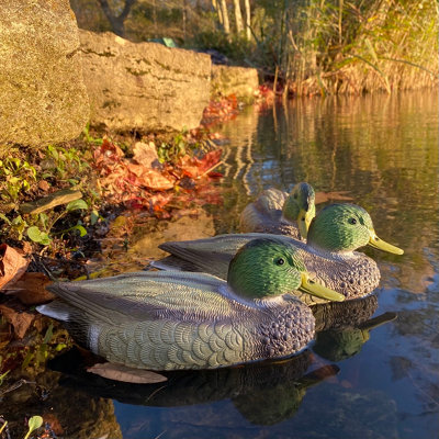 Mallard Duck Hunting Shooting Floating Decoy Pond Decoration (Set Of 3 ...