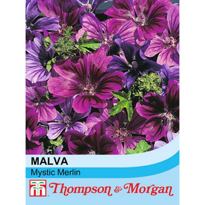 Malva Sylvestris Mystic Merlin 1 Seed Packet (40 Seeds)