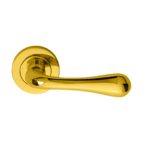 Manital Polished Brass Astro Lever on Round Rose in Polished Brass (AQ1)