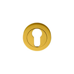Manital Polished Brass Euro Profile Escutcheon in Polished Brass (AA1)