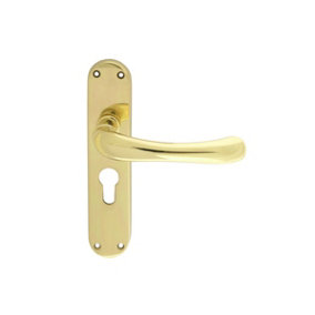 Manital Polished Brass Ibra Lever on Euro Lock Backplate (EL11Y)