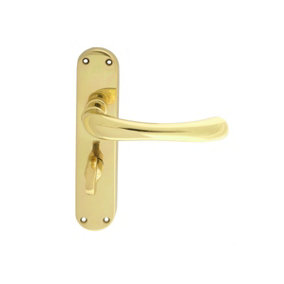 Manital Polished Brass Ibra Lever on WC Backplate (EL13)