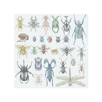 Many species in vintage old hand drawn style Designer Splash Back ...