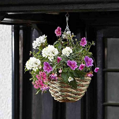 Marco Paul 2pc  Natural Fibre Wicker Hanging Flower Pot