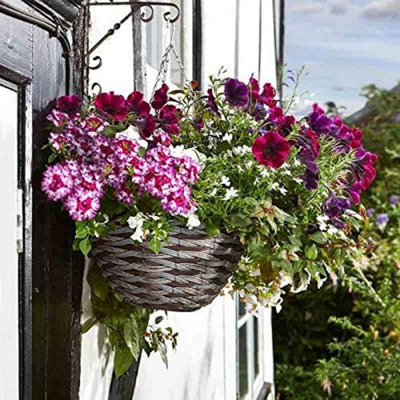 Marco Paul 3 pack Hanging Flower Basket