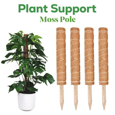 marco-paul-4pc-coir-plant-