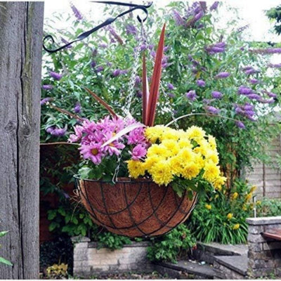 Marco Paul Garden Hanging Flower Basket 16'' Round Metal Plant Holder