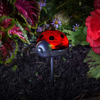 Marco Paul Triple Pack Ladybird Stake Light