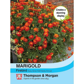 Marigold Firebird 1 Packet (50 Seeds)