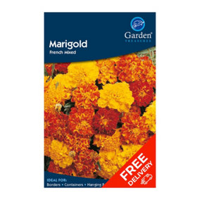 Marigold French Mixed (Tagetes erecta nana)