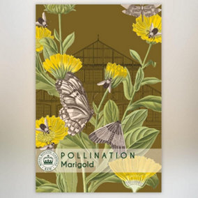 Marigold Promo New Kew Range 1 Packet (100 Seeds)
