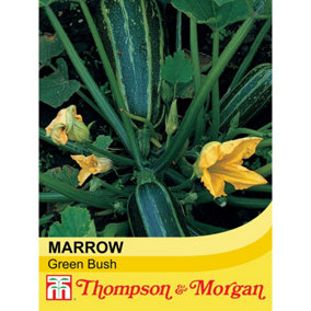 Marrow Green Bush 4 1 Seed Packet