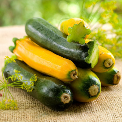 Marshalls Garden Courgette Seeds The Mediterranean Collection 3 Pack ...