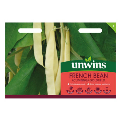 Marshalls Garden Goldfield Climbing French Bean Seeds Stringless Golden ...