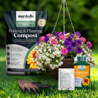 Marshalls Garden Hanging Basket 6 Plug Collection - Petunia