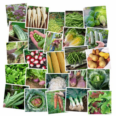 Marshalls Garden Large Allotment Seed Collection - 25 Vegetable Varieties