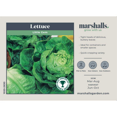 Marshalls Garden Lettuce Seeds Little Gem - Fast-growing Compact Heads ...