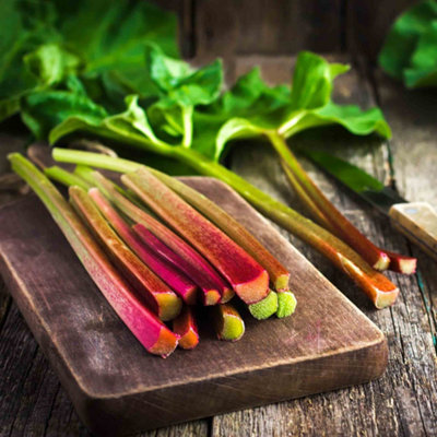 Marshalls Garden Rhubarb Collection 3 Crowns (Victoria, Timperley Early ...